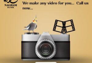 3011Professional Video Editing Service!