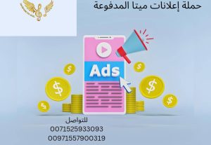 3430Professional advertising campaign creation service: