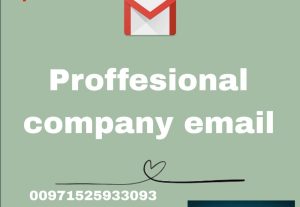 3435Professional Email Service: