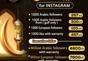 3700Instagram Packages